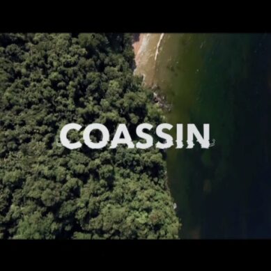 Coassin – Dolphin Pod