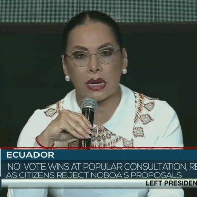 From The South-TeleSur English Nov 17