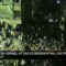 From the South TeleSur English-May 7
