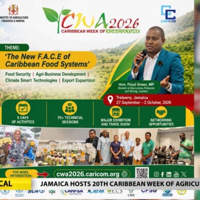 PBC Jamaica News – September 25th