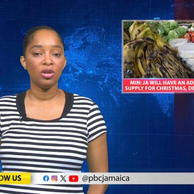 PBC Jamaica News – October 23rd